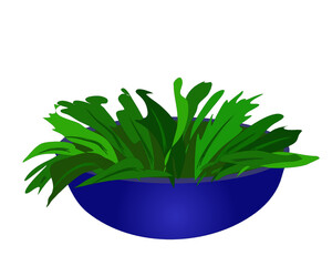 Leafy Green Salad in a Blue Bowl Vector