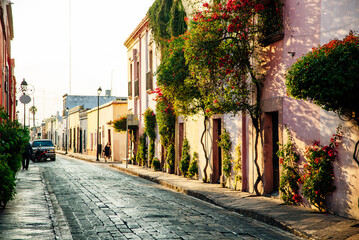 Beautiful street paved with cobblestone, with trees in a sunny summer day