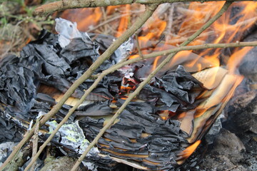 libro siendo consumido por el fuego, con cenizas en su alrededor.