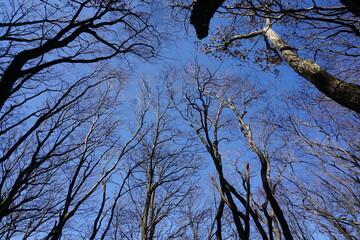 三峰山　登山道