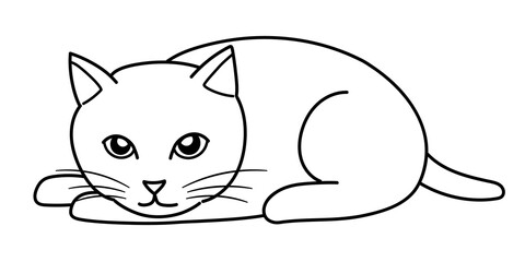 Cat lying face down. Line drawing on white background.
