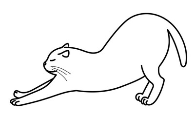 Cat having a big stretch. Line drawing on white background.