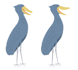 Obraz premium Shoebill also known as whale head, whale-headed stork, or shoe-billed stork. It is a very large stork-like bird.