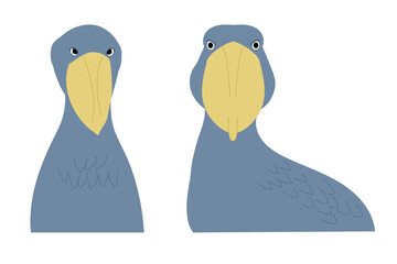 Faces of the Shoebill also known as whale head, whale-headed stork, or shoe-billed stork. Vector illustration isolated on white background.