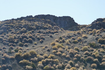 landscape with blue sky
