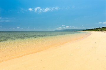 Fototapeta na wymiar Gorgeous extensive paradise beach, white sands, emerald green sea, coastal vegetation. Iriomote Island.