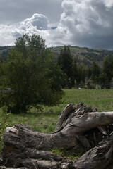 Cordillera de los Andes