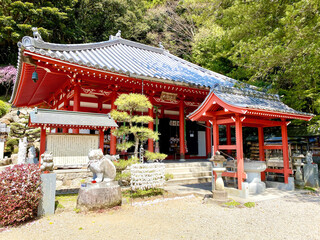 Naklejka premium お松の権化の本殿