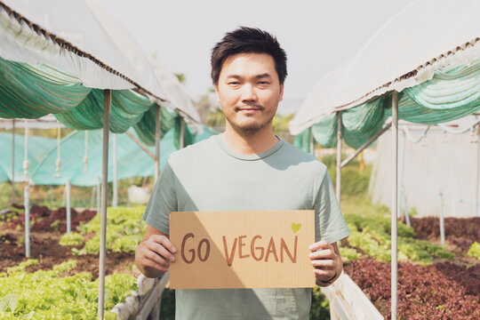 Asian farmer man stand in his vegetables organic farm green house hold a cardboard with "Go vegan" word. Vegan diet, Plant-based eating, Sustainable living lifestyle, Farm to fork, Global warming.