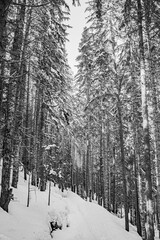Pictures of the ski slopes at Whistler, BC, Canada. 