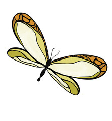 Dragonfly hand drawn