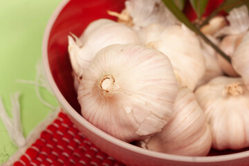 garlics on a green background