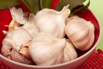 garlics on a green background