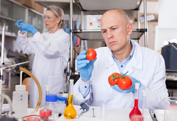Experienced biochemist checking fruits and vegetables for nitrates and pesticides in modern research laboratory..