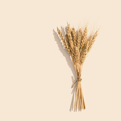 Ripe golden wheat ears close up. Background with ripening ears of cereal plant. Concept of autumnal...