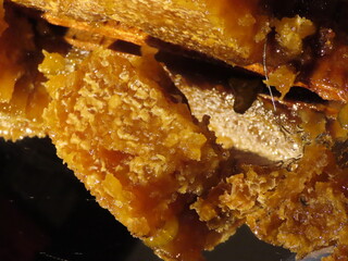 Organic honey from various flowers in honeycomb with wax caps on being taken out of wooden frame. Close up, selective focus