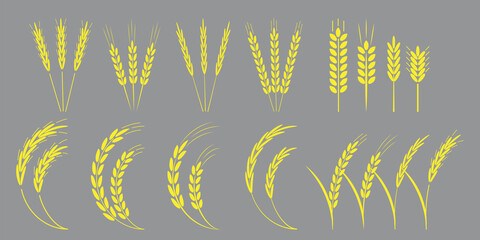 Collection with golden spikelets. Vector icon. Nature illustration. Stock image. EPS 10. © Полякевич Олена