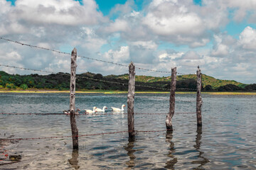Fototapeta premium Aracaju, SE, Brazil, February 28, 2021. Lagoa dos Tambaquis.