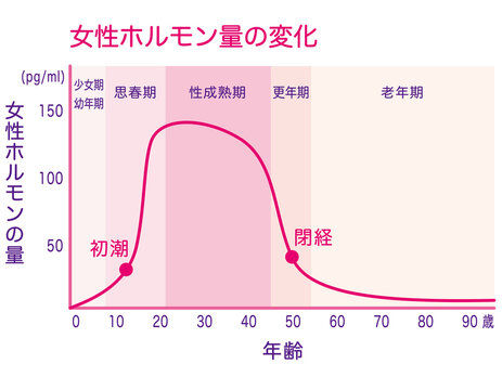 女性ホルモン量の変化 グラフ Stock Illustration Adobe Stock