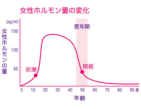 女性ホルモン量の変化　グラフ