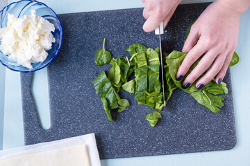Cheese spinach pie. Salty cake recipe. Step by step. View from above. The girl is cooking. Step 3 © Дарья Сахарова