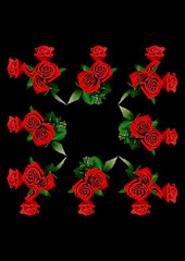 Frames - a bouquet of three red roses. Flowers on the black background of the A4, vertical image. Isolate.