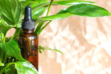 Dropper bottles made of amber glass on a background of fresh green leaves. Skin care products packaging design. Spa concept.