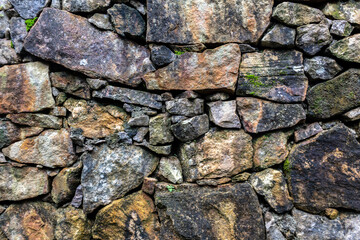 generic vegetation in old stone wall in Brazil