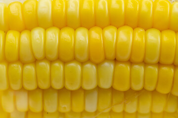 close up of corn