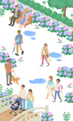 梅雨の紫陽花と人々の生活風景(街並み、町並み)のベクターイラスト縦(アイソメトリック、アイソメ)