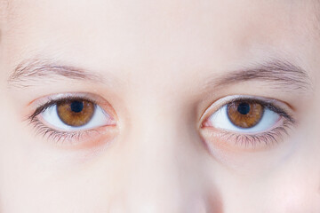 Obraz premium Two brown human eyes. Close-up photo.