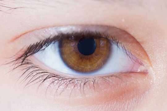 Human eye, close-up photo. The eye is brown.