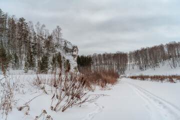 Winter landscape with a frozen river, with rocks on its banks, overgrown with forest and textured cloudy sky of gray shades. In the snow, you can see the traces of the feet and the snow-scooter. 