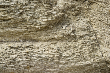 석모도 갯벌