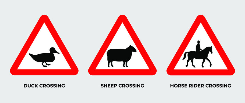 Set of triangle of warning animal cross of road signs vector template. Isolated an object. Eps 10