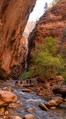 canyon of the river in state