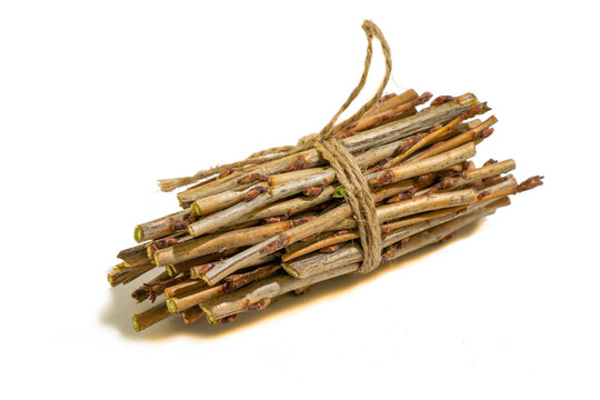 a bundle of twigs tied with a hemp rope on a white background
