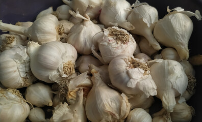 garlic on the market