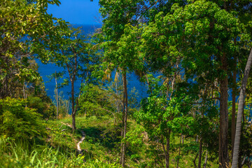 Wide-angle nature background, clear air, beautiful blue sea, and the blur of the sun and the passing wind, spontaneous beauty in the scenic spots.