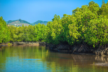 Wide-angle nature background, clear air, beautiful blue sea, and the blur of the sun and the passing wind, spontaneous beauty in the scenic spots.