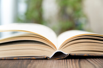 Open books on the table