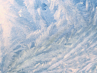 The patterns made by the frost