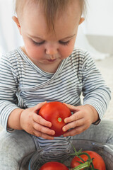 Fototapeta premium Cute baby girl are sitting whith tomato white background interior. Funny child explores vegetable