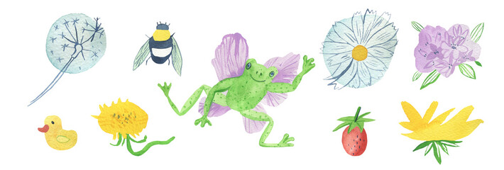 Watercolor set of green frogs with purple wings,forest plants.Fantastic collection of amphibians with rainbows,mushrooms,forget-me-nots,berries,stars,lilies hand painted on white isolated background.