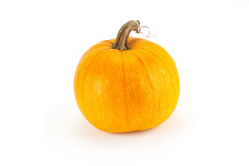 Ripe, bright orange pumpkin.