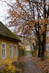Fototapeta na wymiar Country house in autumn. Yellow foliage and moss on the roof of an old house. Autumn in a small town. Old wooden house in the village. Gloomy and overcast day. A deserted street in the Russian outback