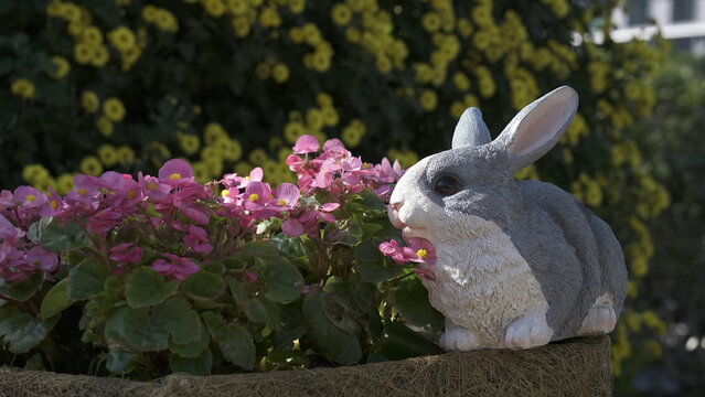 รูปภาพRabit – เลือกดูภาพถ่ายสต็อก เวกเตอร์ และวิดีโอ3,984 | Adobe Stock