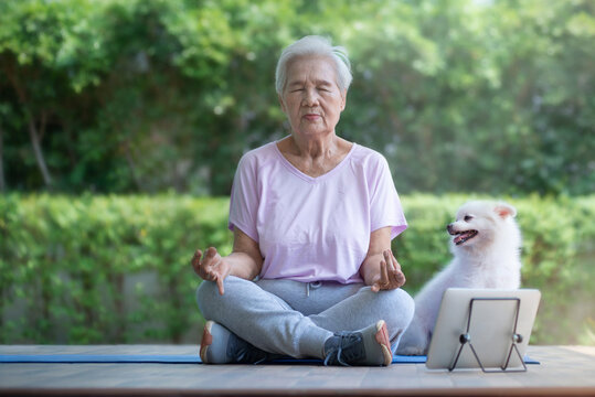 Granny Woman Training Fitness At Home With Dog And  Yoga Practice Online On The Tablet