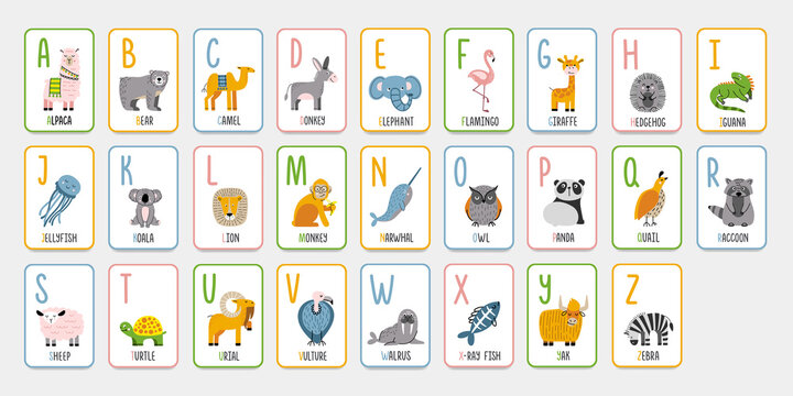 Alphabet flashcards with animals for preschool learning. English letters for kids. Cartoon style ABC vector cards.