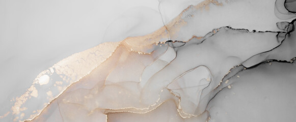 Alcohol Ink. Black Liquid Pattern. Fluid Flow